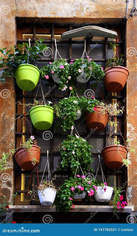 A Window With Hanging Flower Pots Stock Image Image Of Iron Home