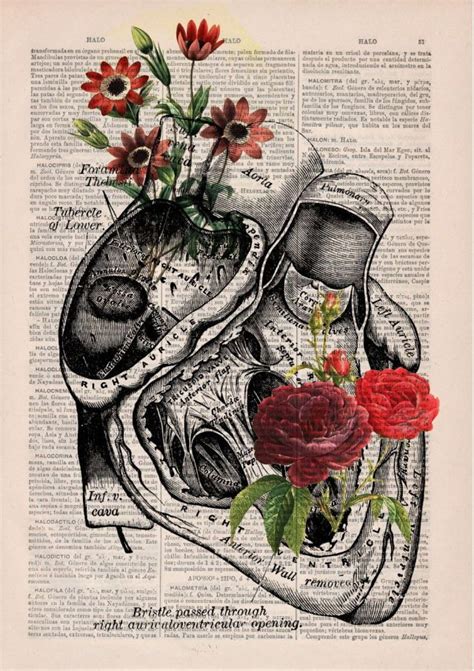 Love Wall Art Wall Art Prints Arte Com Greys Anatomy Human Anatomy