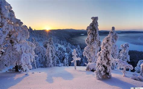 @fauststein, prese con un fotocamera sconosciuta 08/07 2018 la foto scattata con. Inverno e il tramonto della foresta Download di sfondi HD