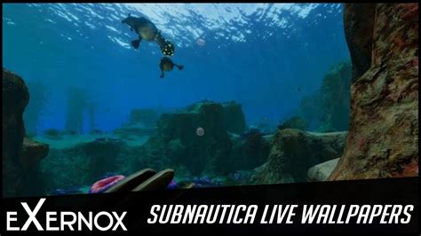 Subnautica Live Wallpaper Fhd Safe Shallows Youtube