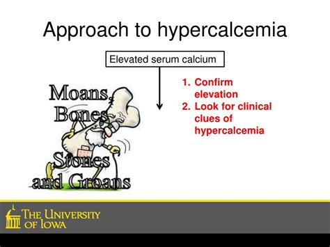 Ppt Approach To Hypercalcemia Powerpoint Presentation Free Download