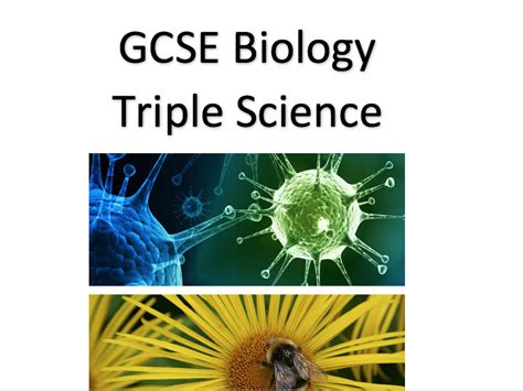 Gcse 9 1 Aqa Required Practicals Handbook For Biology Triple Science