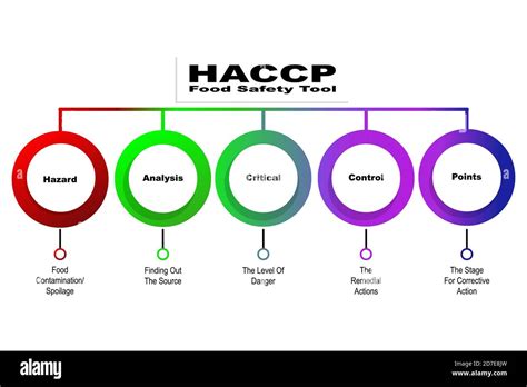 Diagramm Von Haccp Food Safety Tool Mit Schlüsselwörtern Eps 10