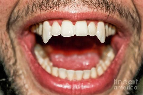Sharp Vampire Teeth Photograph By Benny Marty