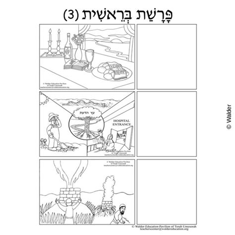 Parshas Bereishis Sequencing In Hebrew And English Walder Education