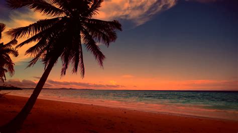 Tropical Sunset Wallpaper Desktop Images