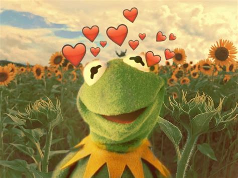 Heart Wallpaper Meme Kermit