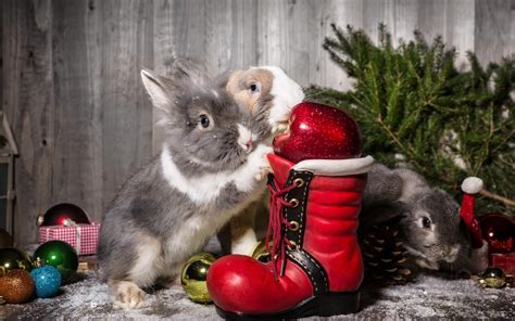Christmas Ornaments Rabbits Winter New Year Hd Desktop Wallpaper