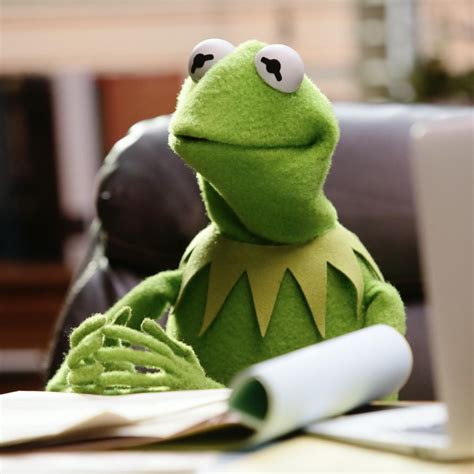 Kermit The Frog On Twitter If I Sit Here Patiently Long Enough Im