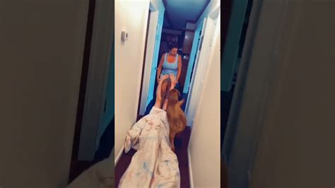 Mom Pulls Son Out Of Bed By His Feet Youtube