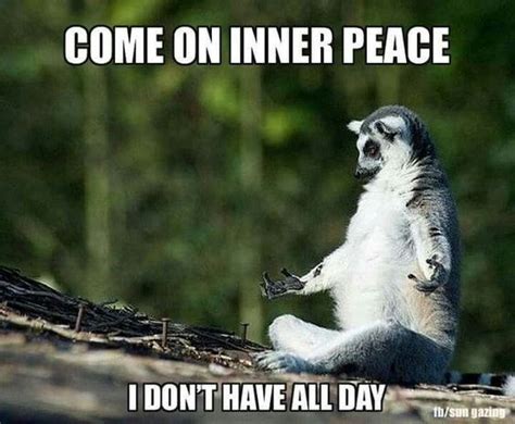 15 Lemur Memes That Will Make Your Wednesday So Much Better
