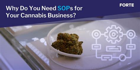 Why Do You Need Sops For Your Cannabis Business Forte