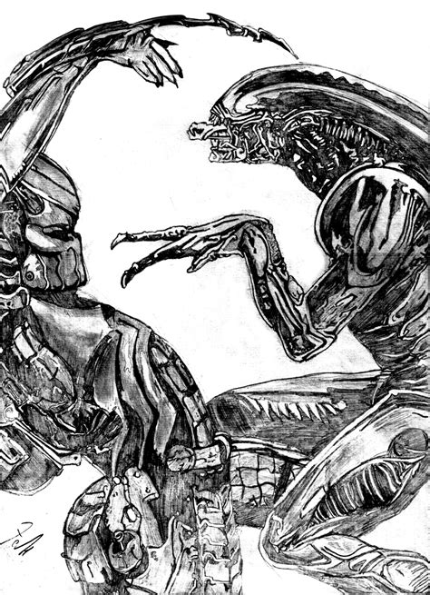 Alien Vs Predator By Amucchina On Deviantart
