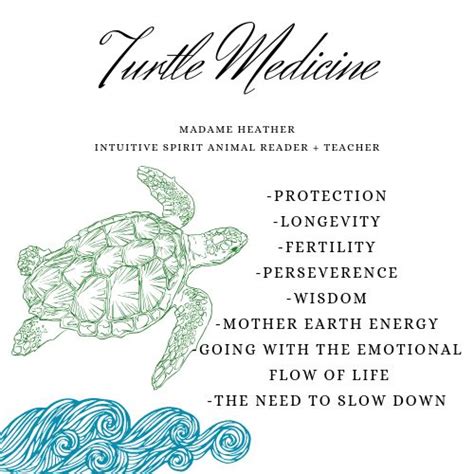 Turtle Spirit Animal Turtle Spirit Animal Spirit Animal Your Spirit