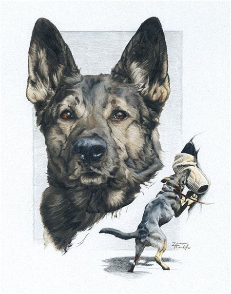 Greeting Card Of German Shepherd Police K9 Drawing Dog