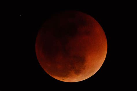来週5月26日(水)夜、日本全国で「皆既月食」が見られます。 一方、11/19の #部分月食 は今年最も小さい満月とほぼ同じ大きさ 同じ倍率の望遠鏡で月を撮って、大きさを比較してみましょう。 皆既月食『スーパーブルーブラッドムーン』からの ...