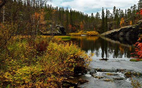 Download the perfect finland nature pictures. Wallpaper Lapland region Finland Nature Autumn Forests ...