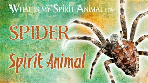 Spider Spirit Animal Spider Totem And Power Animal Spider Symbolism