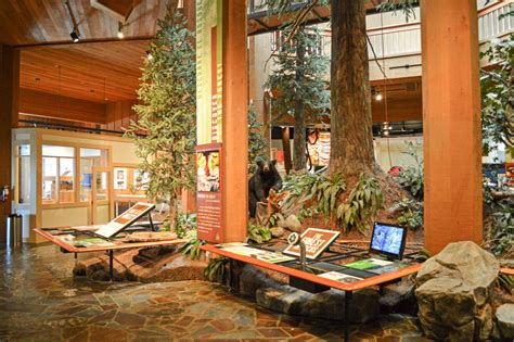Our Museum World Forestry Center