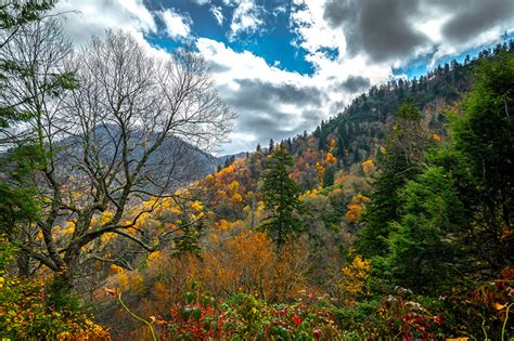 Wallpaper Usa Great Smoky Mountains National Park Nature Autumn Park
