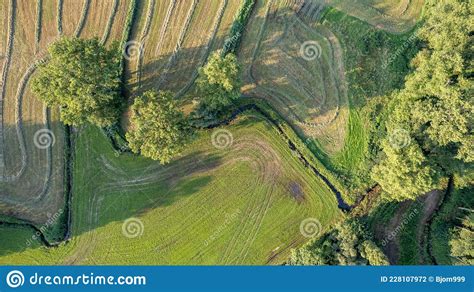 Aerial View Of Meandering Lowland River In The Lush Green Vegetation Of