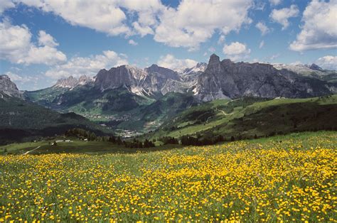 Summer Meadow In The Dolomites Italy Rowan Castle Flickr