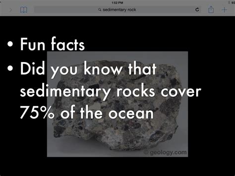 Sedimentary Rock Facts For Kids In 2023 Fun Interesti