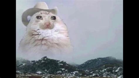 West virginia cat meme generator the fastest meme generator on the planet. 1 minute of country road take me home with a sad cowboy ...