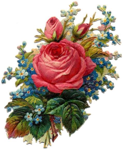 Victorian Flower♥ Vintage Floral Images Victorian Flowers Flower