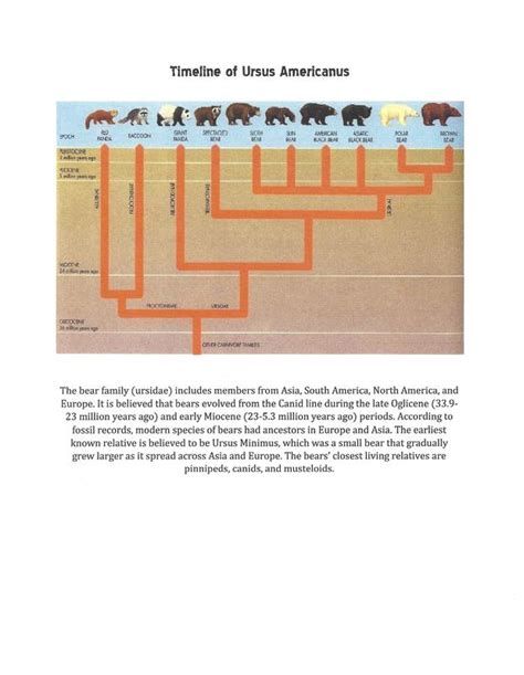 Page 8 Timeline Of Animal Animal Evolution Project