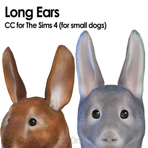 Rabbit Long Ears Body And Tail At Kalino Sims 4 Updates