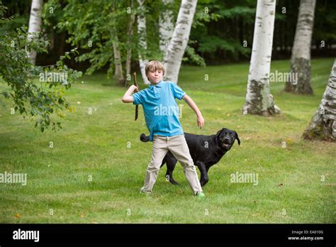 Young Boy Outdoors Throwing Stick For Dog Stock Photo Alamy
