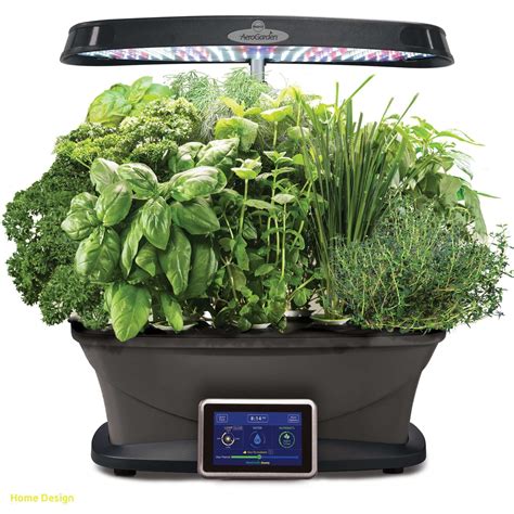 The more light you can provide for your indoor herb garden, the better off they will be. Inspirational Indoor Herb Garden Kit with Light | Gourmet ...