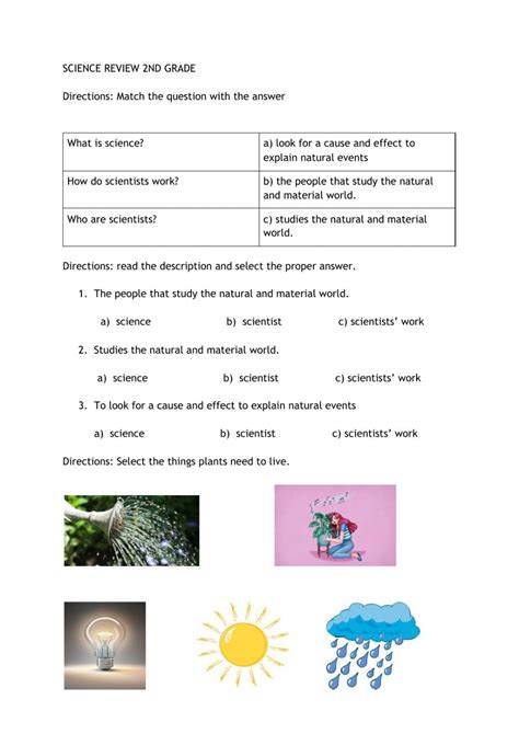 grade science worksheet combining  terms worksheet