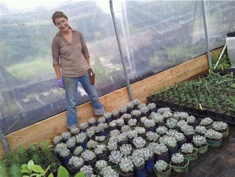 Where you live, love, work and play. Sizzling Succulents - Tips for Growing Success