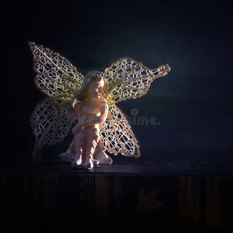 Image Magical Little Fairy Sitting Night Forest Stock Photos Free