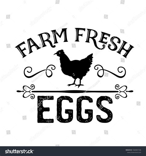 Farm Fresh Eggs Vector File Chicken Stock Vector Royalty Free