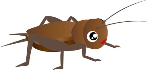 Cricket Insect Png Hd Png All Png All