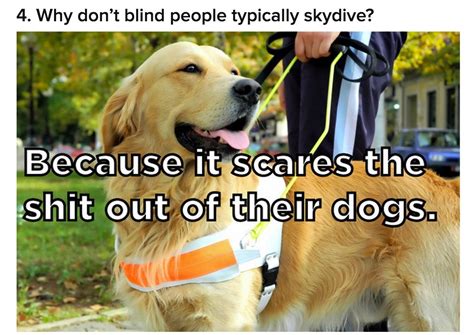 Short Clean Jokes Skydiving Dog Barking Service Dogs Saving Lives