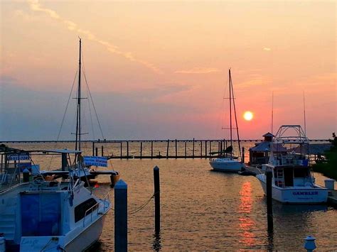 The native cafe menu, native cafe, pensacola, best fish tacos on penscola,fl, native cafe, native cafe menu, fish tacos. Sunrise view at the Fish House restaurant in Pensacola ...