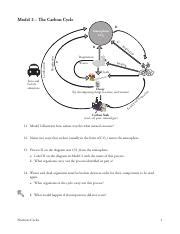 Nutrient cycle for grade 6 worksheets learny kids nutrient cycle biology worksheet worksheet resume examples nutrient cycles worksheets and introduction teaching Nutrient Cycles Worksheet Answers - Promotiontablecovers