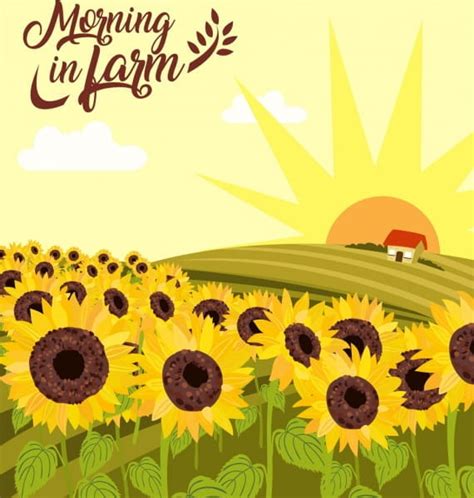 Sunflowers Farm Drawing Hill Sun Icons Multicolored Decoration Ai Eps