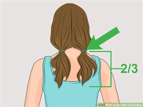 Tie an elastic band on each segment to mark the bottom 2/3 of your hair. 3 Ways to Dye Hair Two Colors - wikiHow