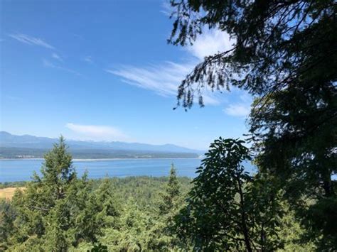 2023 Best 10 Trails And Hikes In Comox Valley A Alltrails