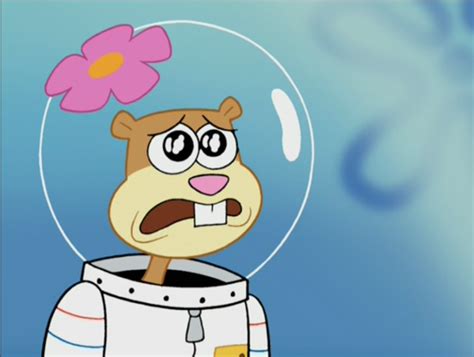 Sandy Cheeks Spongebob