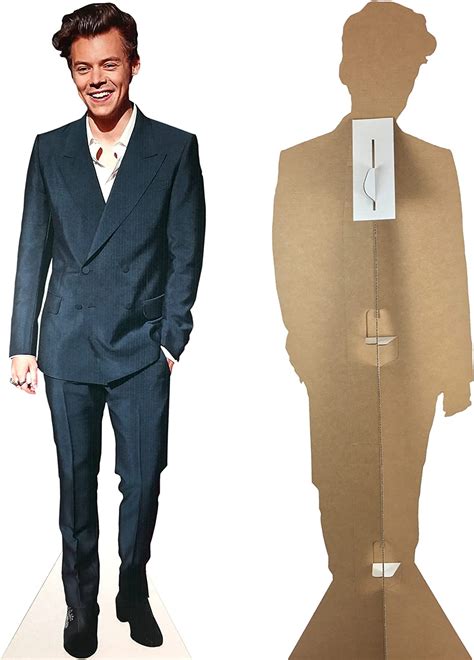 Buy Mosaic Harry Styles Life Size Stand Up Cardboard Cutout Standee