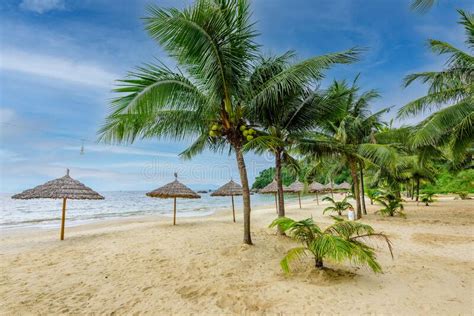 Tien Sa Beach Paradise Beach At Tropical Coast Scenery In Da Nang