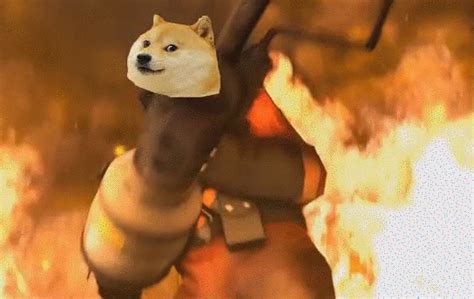 Make your own images with our meme generator or animated gif maker. Meet the Doge | Doge | Know Your Meme