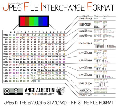 JPEG Repair Service - Fix corrupt JPEG Files. Restore ... It uses the technology of encoding smooth color renditions, providing the ability to reduce the amount of data frequently during the image recording.