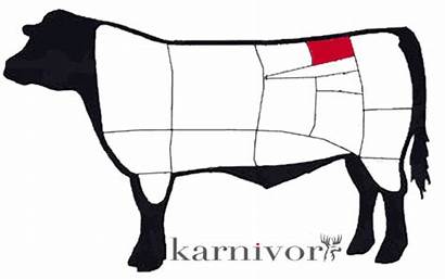 Rostas Beef Cattle Grillad Which Karnivor Sitter